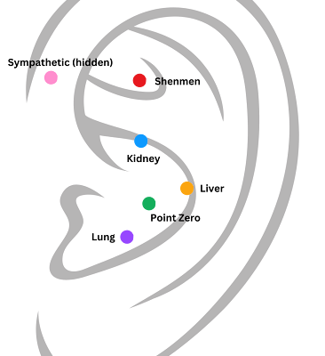 a drawing of an ear, with acupuncture points mapped onto it