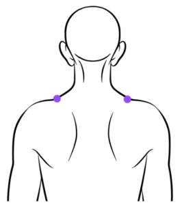 A sketch of a person from behind, with two purple dots on the shoulders.