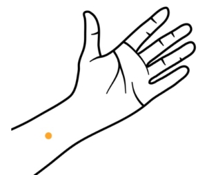 A hand with a yellow dot in the middle of the inner wrist, about three fingers width towards the elbow